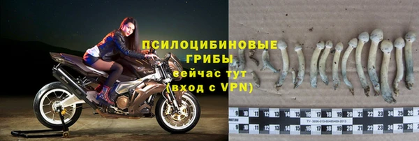гидра Лиски