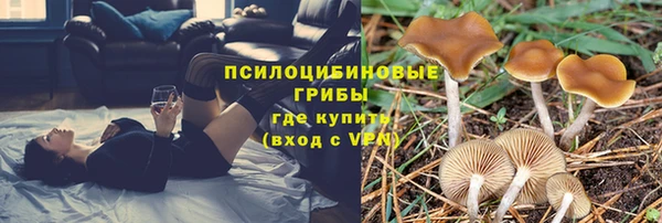 гидра Лиски