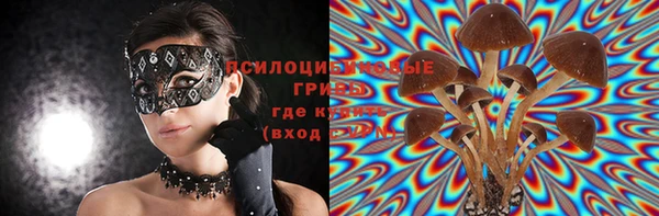 гидра Лиски