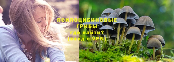 синтетический гашиш Лихославль