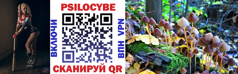 Псилоцибиновые грибы MAGIC MUSHROOMS  Купить закладки  Йошкар-Ола 